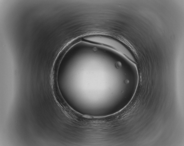 X0000116670436200912211607