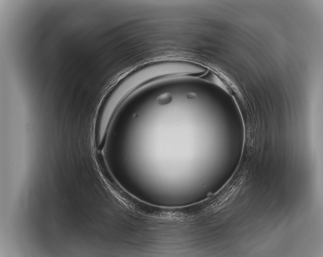 X0000116670437200912211607