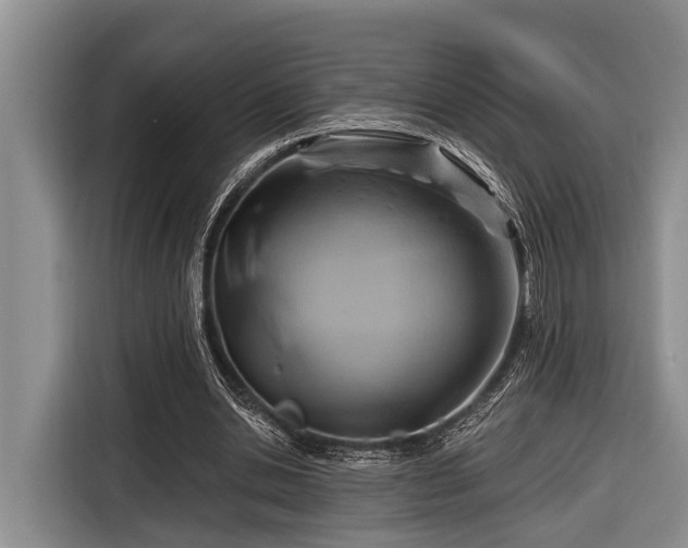 X0000116670438200912211607