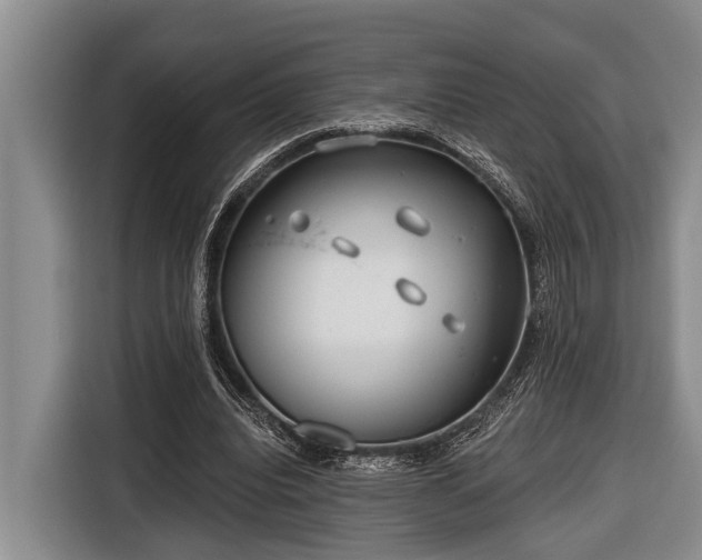 X0000116670440200912211607