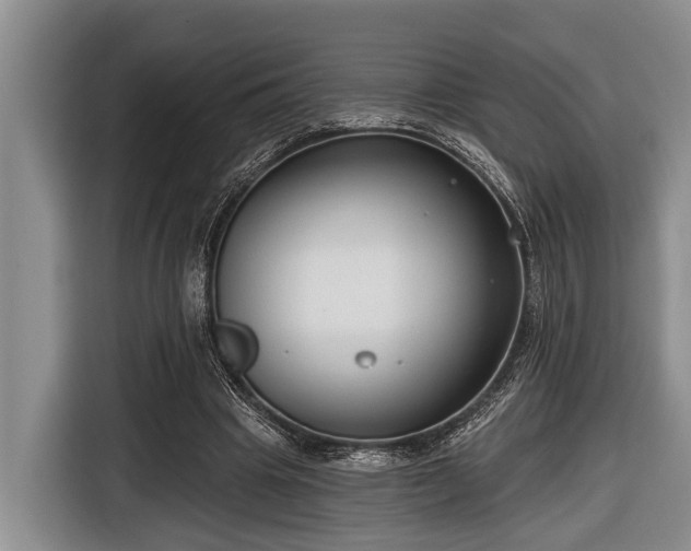 X0000116670441200912211607