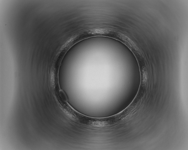 X0000116670444200912211607