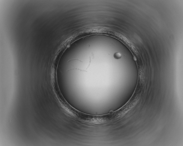 X0000116670445200912211607