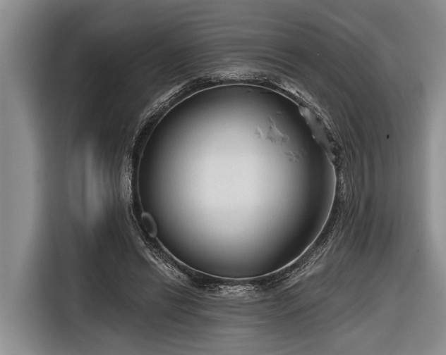 X0000116670446200912211607