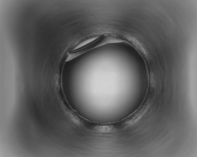 X0000116670449200912211607