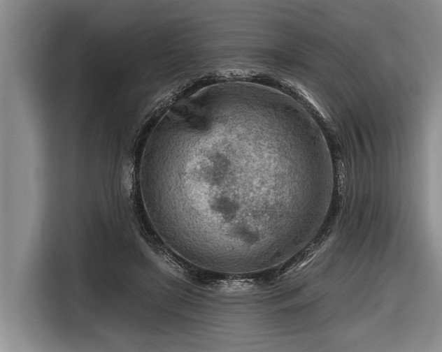 X0000116670451200912211607