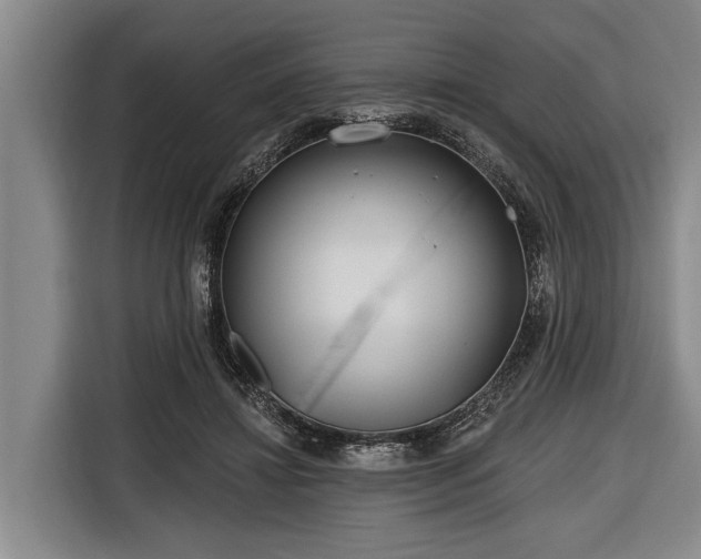 X0000116670452200912211607