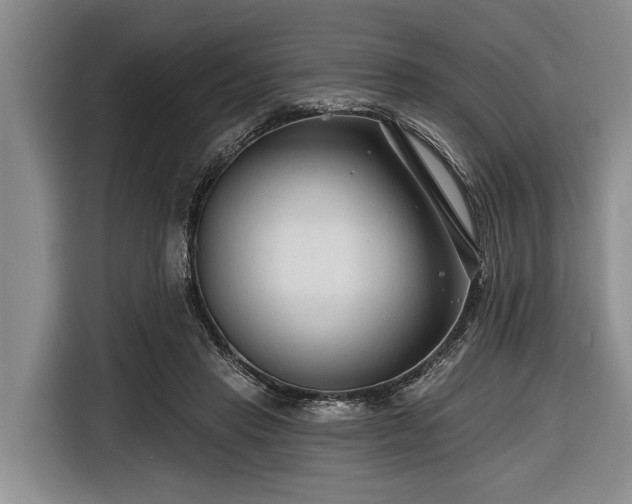 X0000116670453200912211607