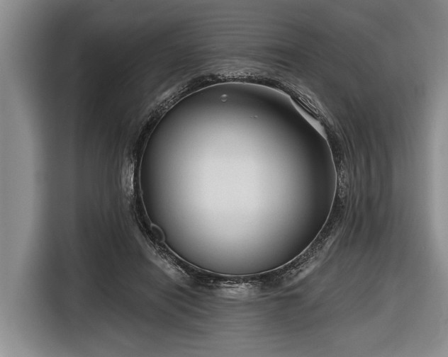 X0000116670454200912211607