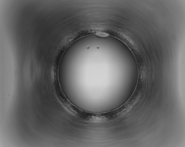 X0000116670455200912211607