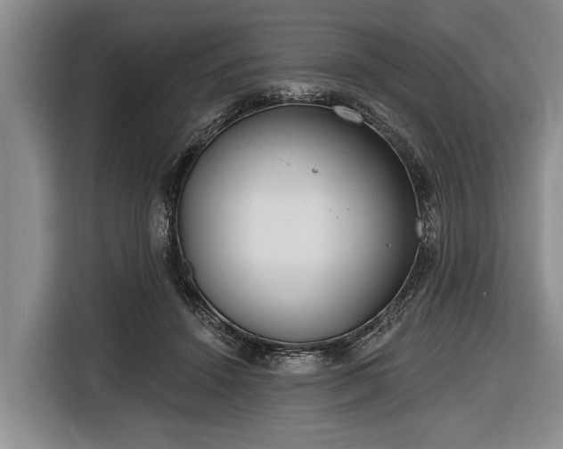 X0000116670456200912211607