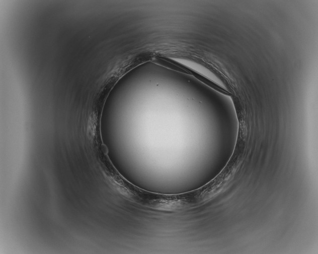 X0000116670458200912211607