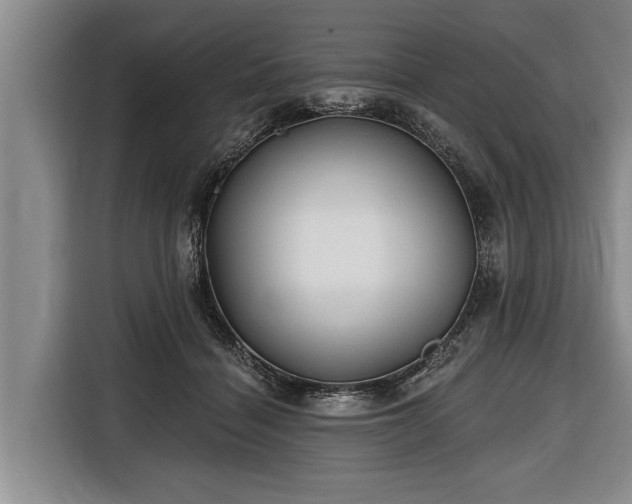 X0000116670460200912211607