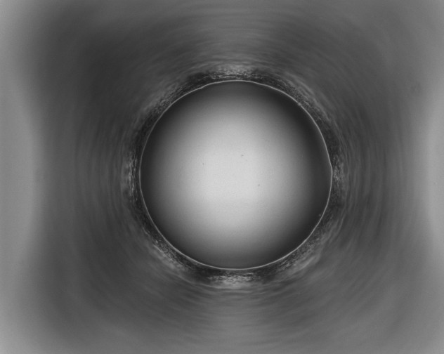 X0000116670462200912211607