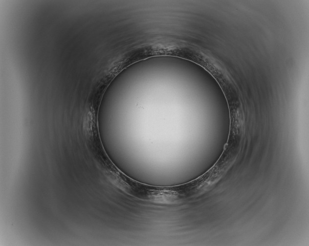 X0000116670463200912211607