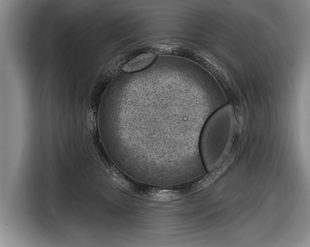 X0000116670467200912211607