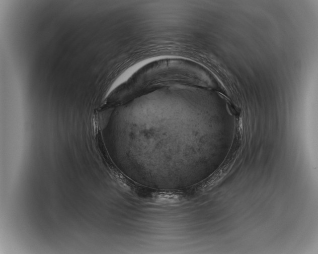 X0000116670471200912211607