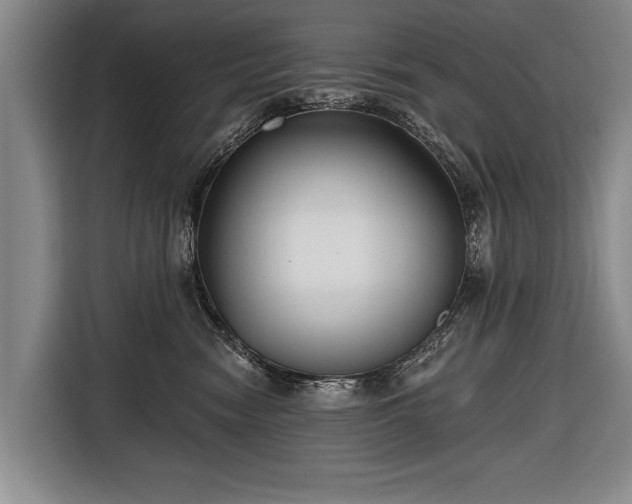 X0000116670474200912211607