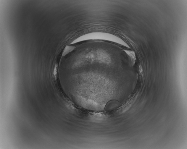 X0000116670475200912211607