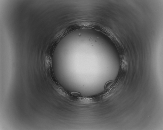 X0000116670476200912211607