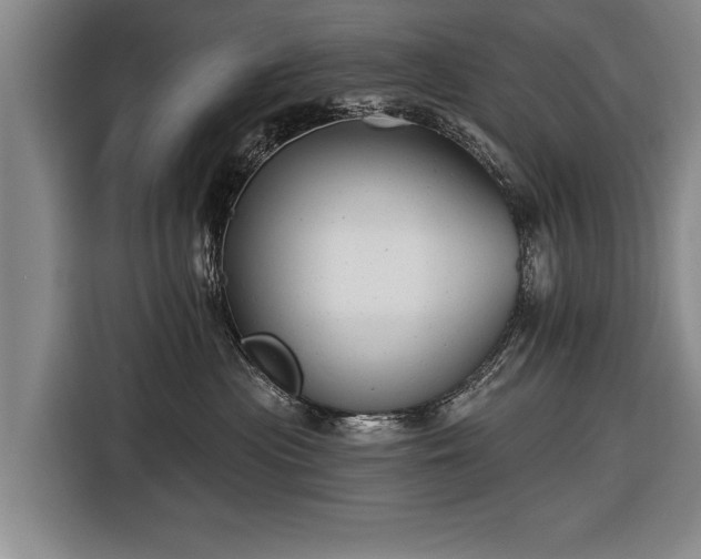 X0000116670477200912211607