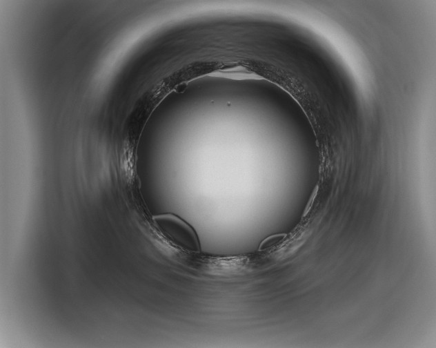 X0000116670479200912211607