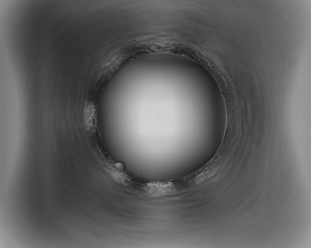 X0000116670480200912211607