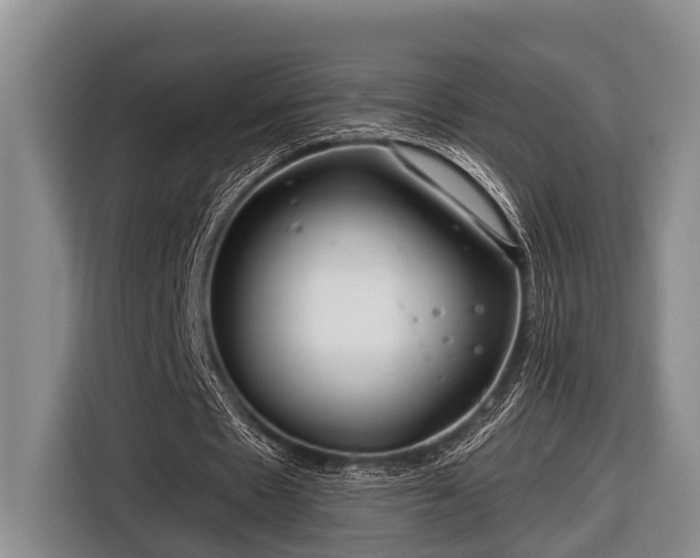 X0000116670481200912211606