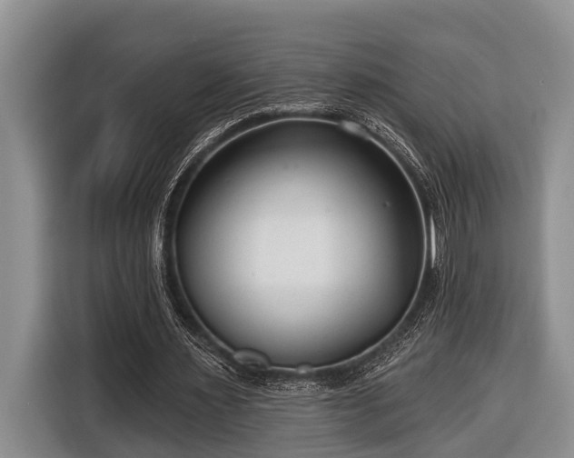 X0000116670483200912211606