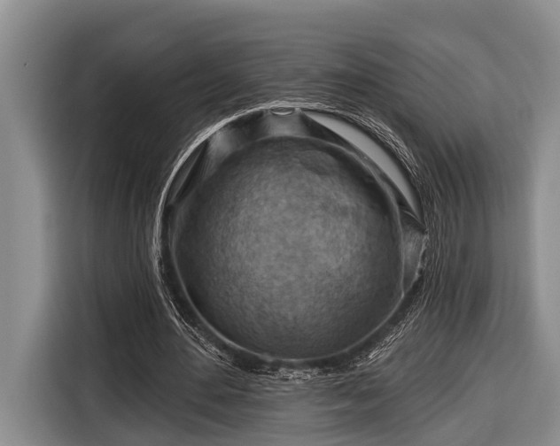 X0000116670484200912211606