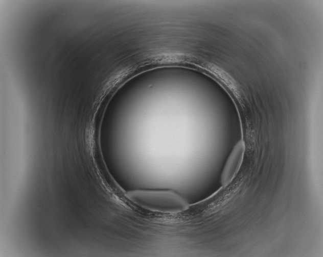 X0000116670485200912211606