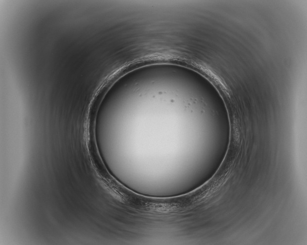 X0000116670486200912211606