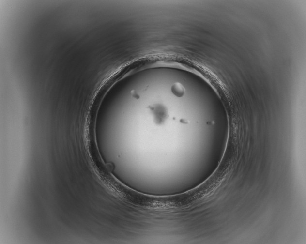 X0000116670487200912211606