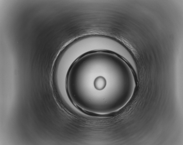 X0000116670488200912211606