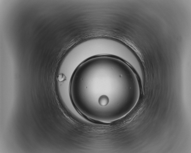 X0000116670489200912211606