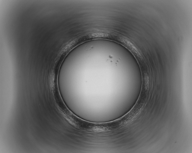 X0000116670490200912211606