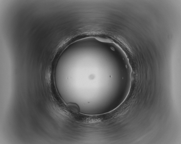 X0000116670491200912211606