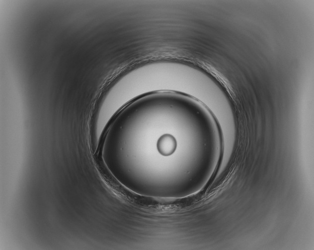 X0000116670493200912211606