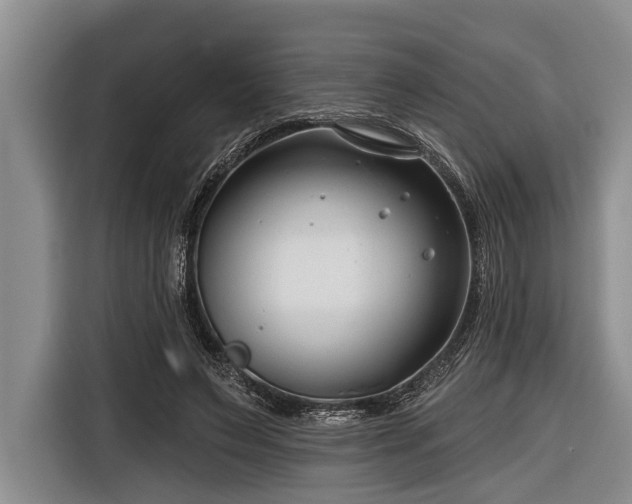 X0000116670495200912211606