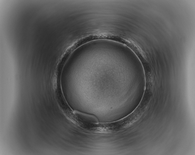 X0000116670496200912211606