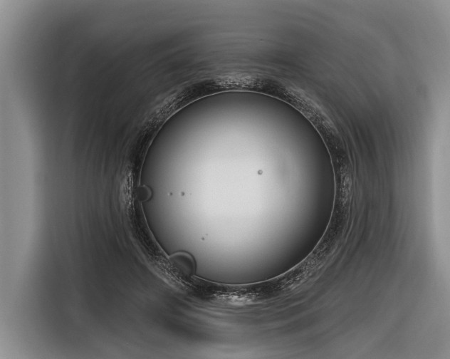 X0000116670498200912211606