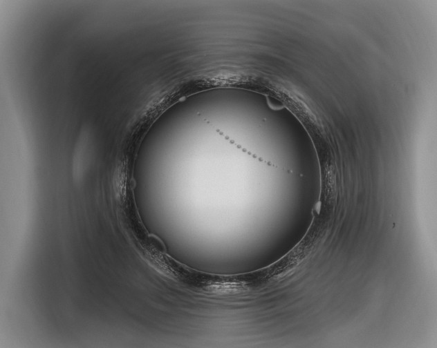 X0000116670499200912211606