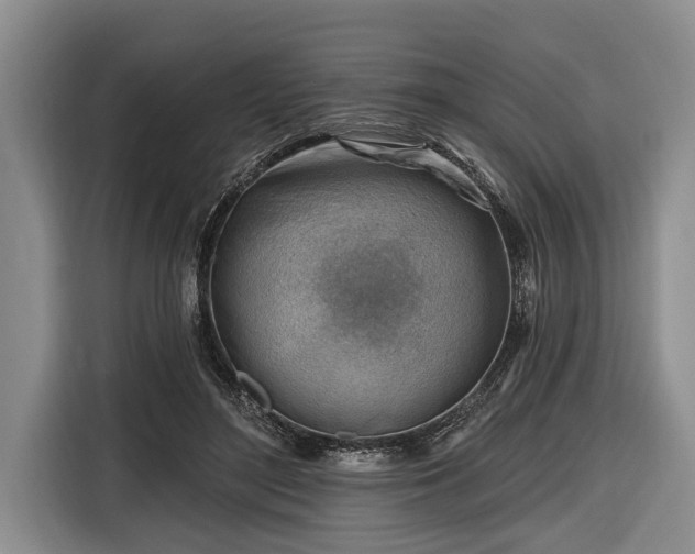 X0000116670500200912211606