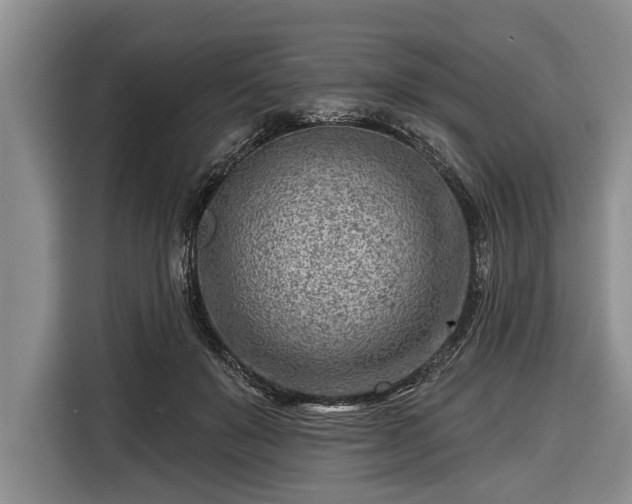 X0000116670503200912211606