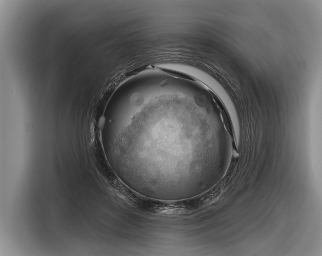 X0000116670504200912211606