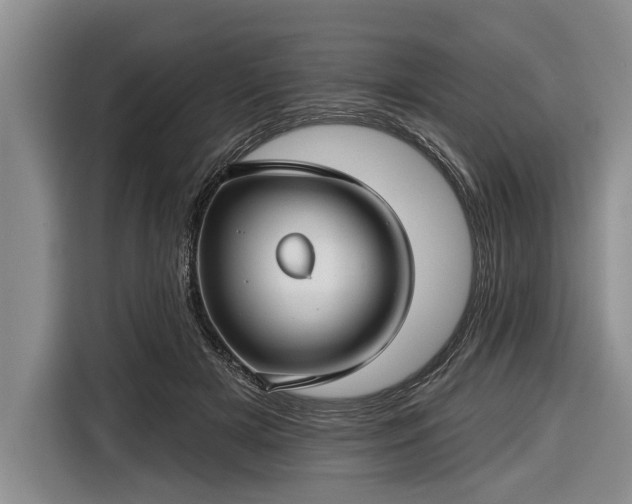 X0000116670505200912211606