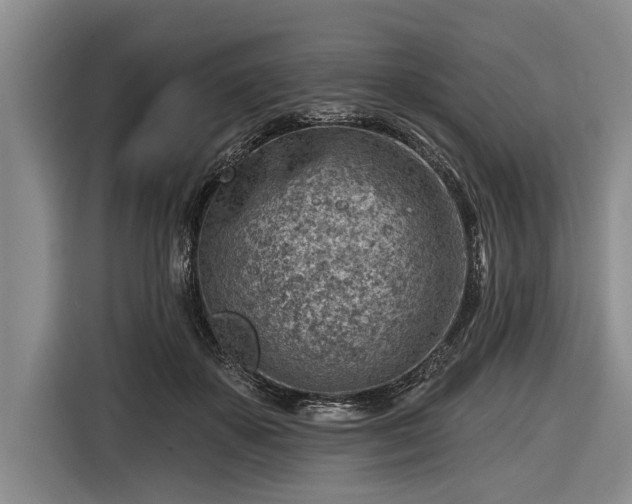 X0000116670507200912211606