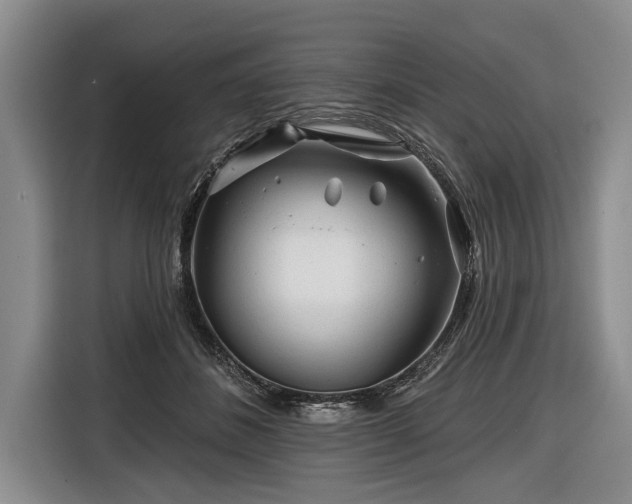 X0000116670508200912211606