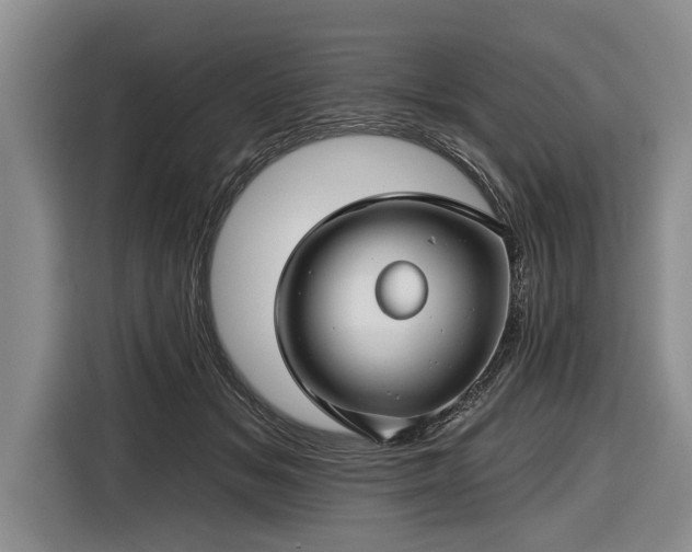 X0000116670509200912211606