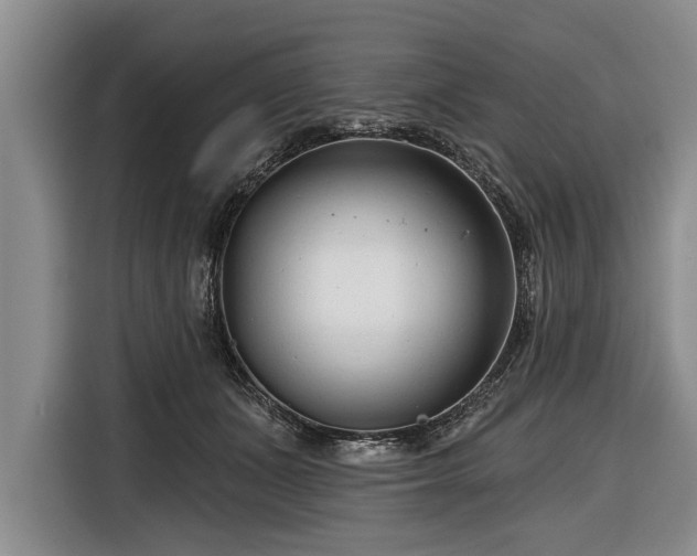 X0000116670511200912211606